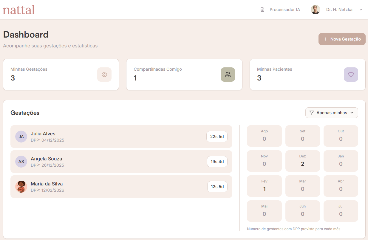 Dashboard Nattal