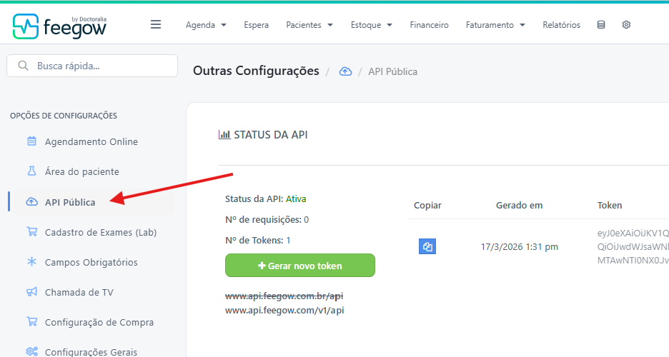 Menu lateral de configurações do Feegow com API Pública selecionada